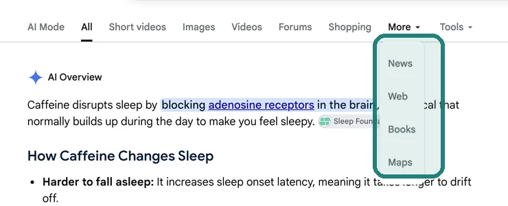 Google results More menu with Web highlighted among the options